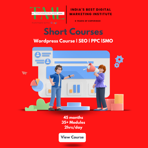 Digital Marketing Institute in Chandigarh Townmedialabs