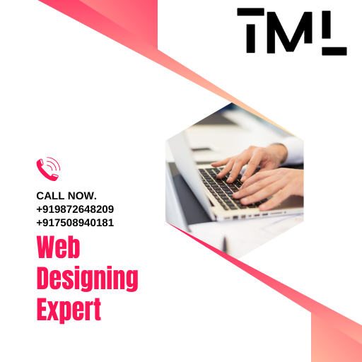 WordPress CMS in Our web designing Course